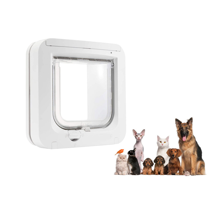 Kolla in Microchip Cat Flap 2021