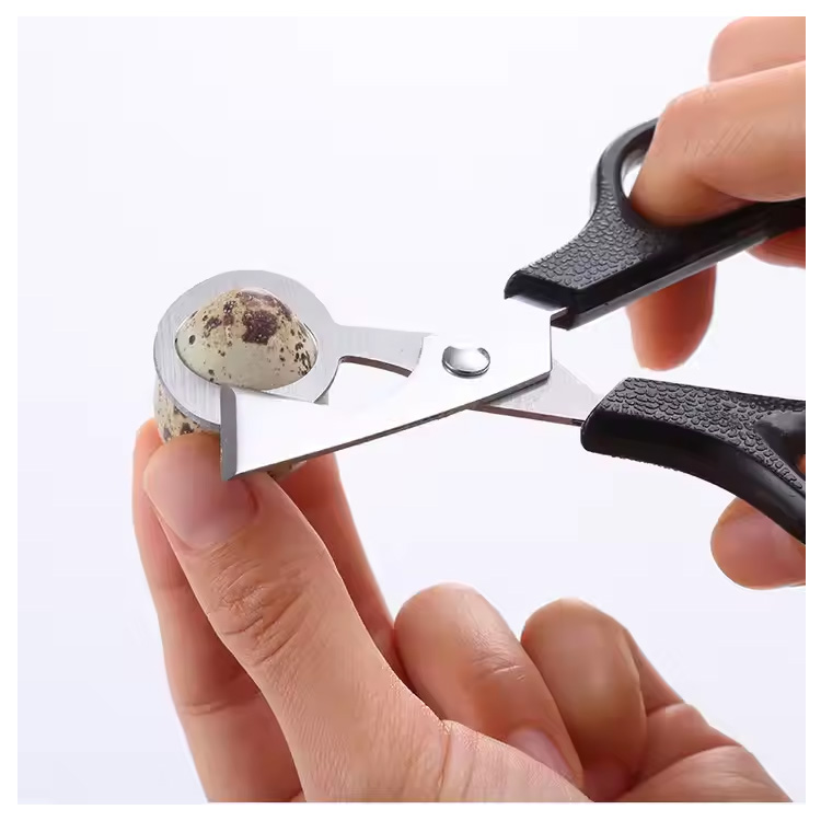 Billigt köksverktyg Pigeon Quail Bird Egg Clipper Cutter Scissor