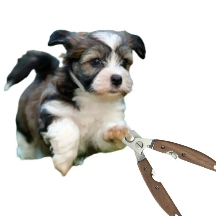 Pet Nail Grooming Tool: Guide för att välja Bästa Pet Nail Clipper