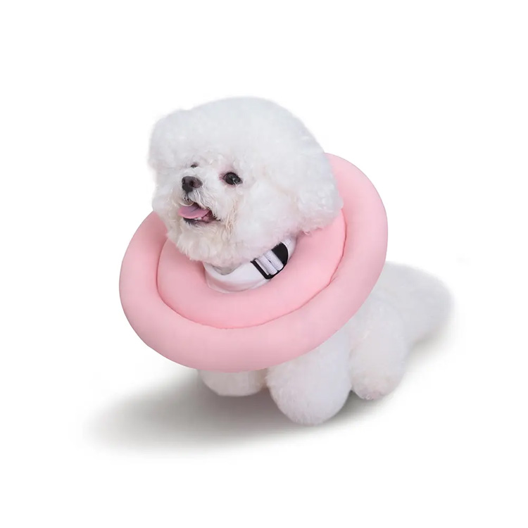 Återhämtningshund Elizabeth Cone Collar Elizabethan Cat Pet Collar