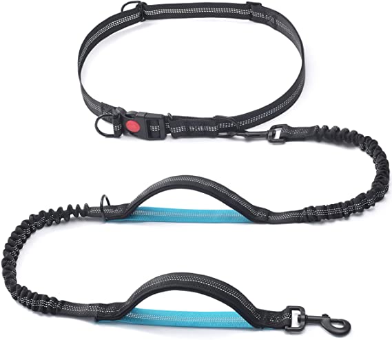 Reflekterande dubbel vadderad Bungee Running Hands Free Dog Leash